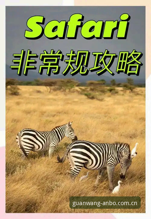 安博体育赛事数据评测 安博体育赛事数据评测避坑指南
